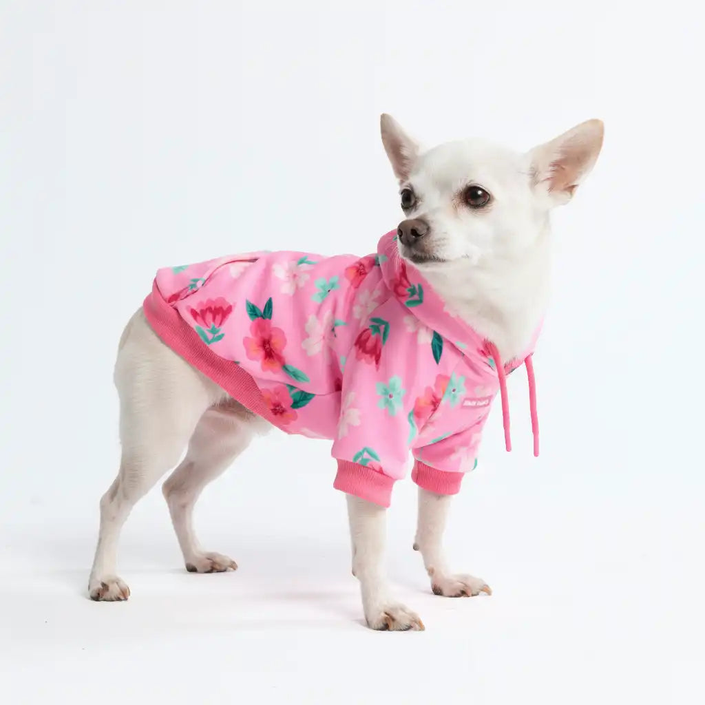 Dog Hoodie Prints