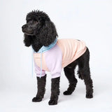 Cotton Candy Dog Hoodie