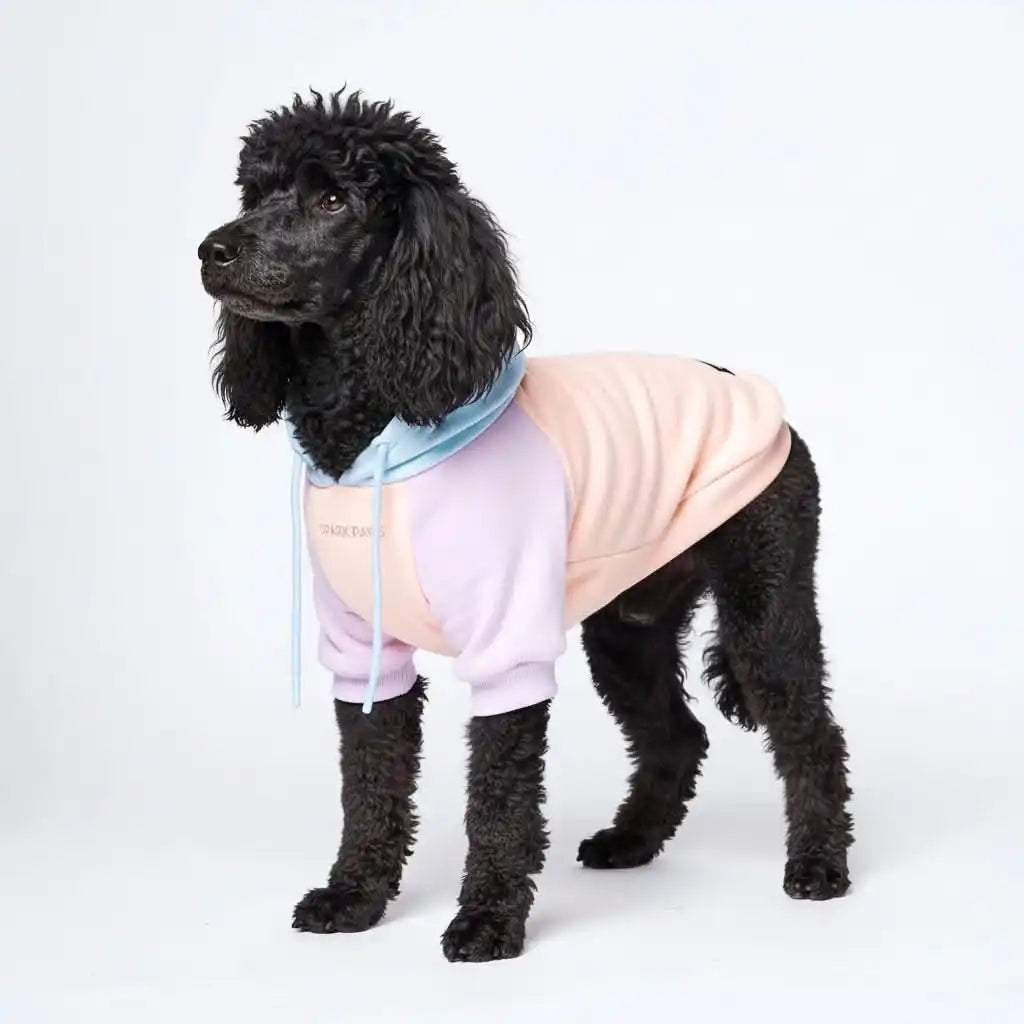 Cotton Candy Dog Hoodie