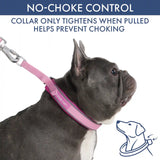 Martingale Collar Set - Pink