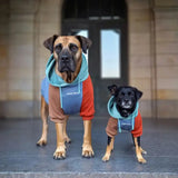 Alpine Dog Hoodie