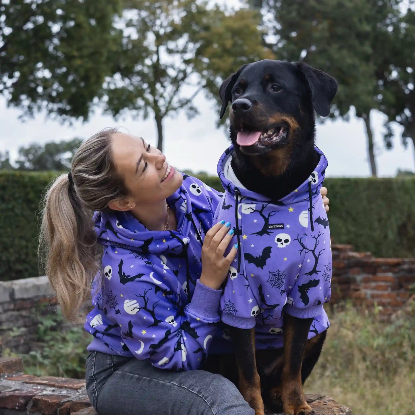 Halloween Dog Hoodie - Purple