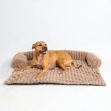 Luxury Couch Cover Dog Beds