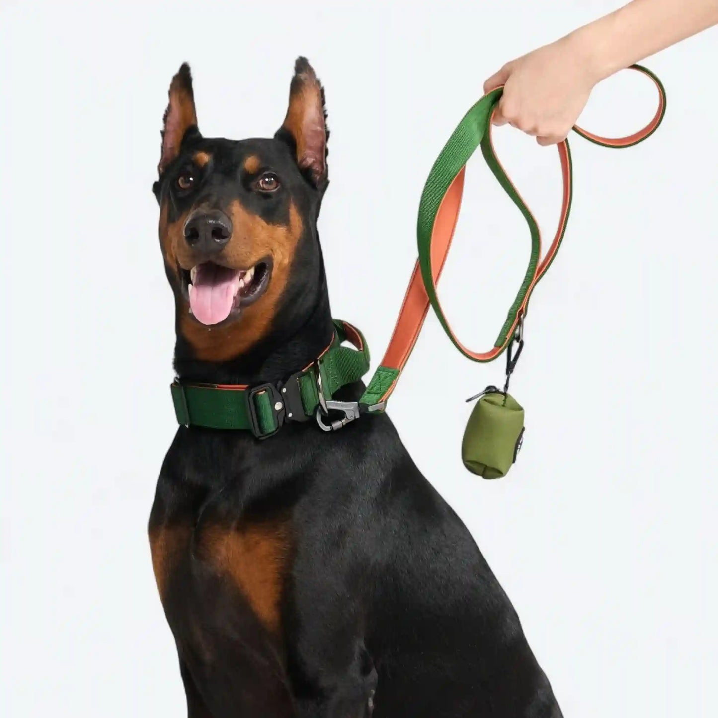 Comfort Control Dog Collar Sets