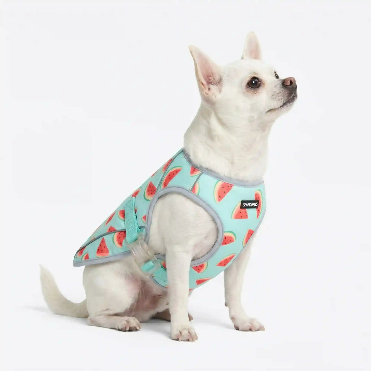 Chilltech™ Dog Cooling Vests