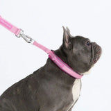 Cushioned Martingale Collar - Pink