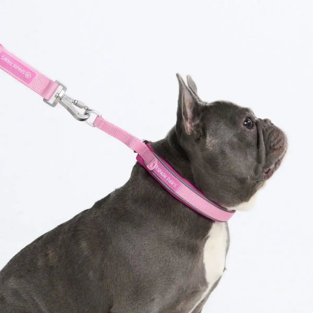 Cushioned Martingale Collar - Pink