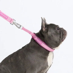Cushioned Martingale Collar - Pink