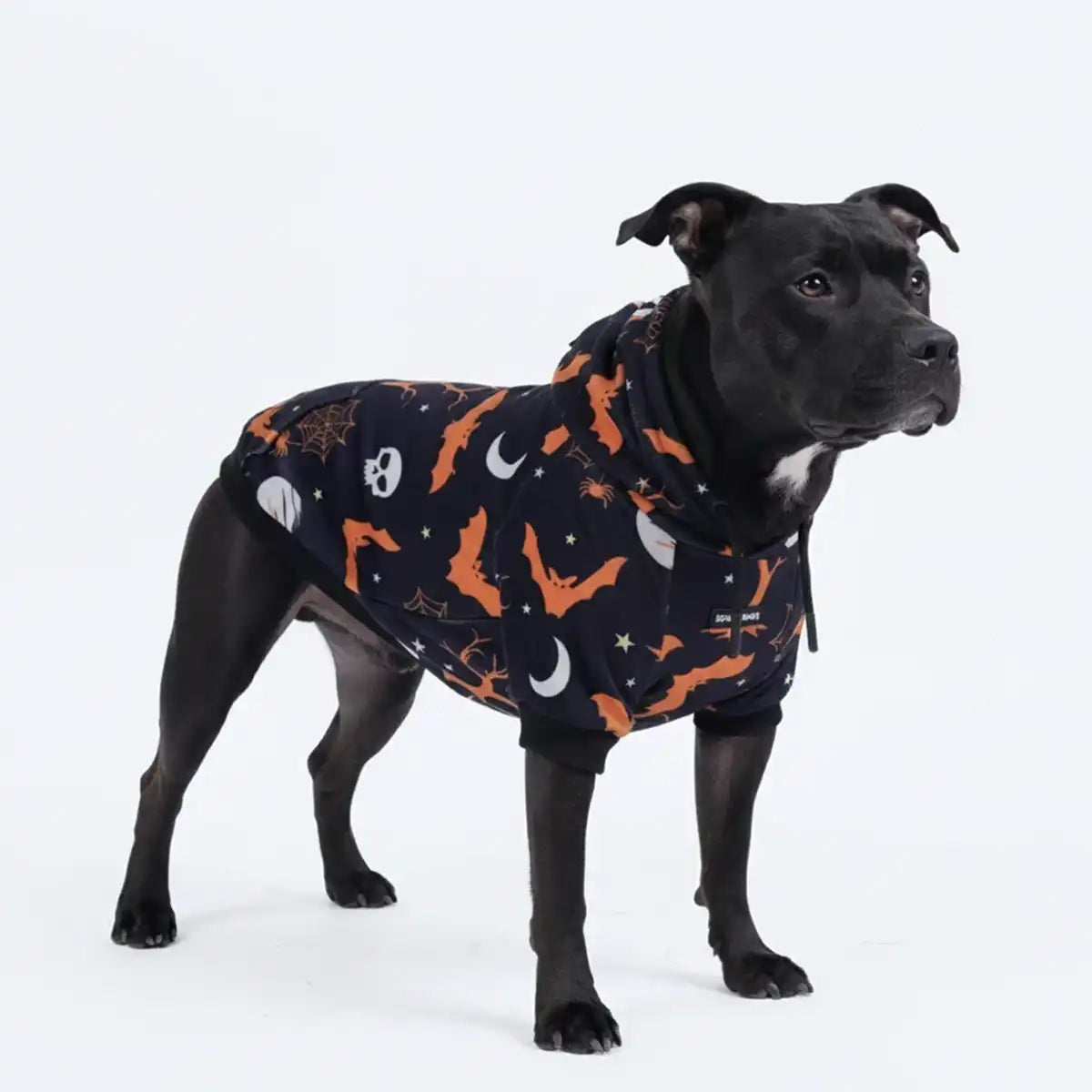Halloween Dog Hoodie - Black