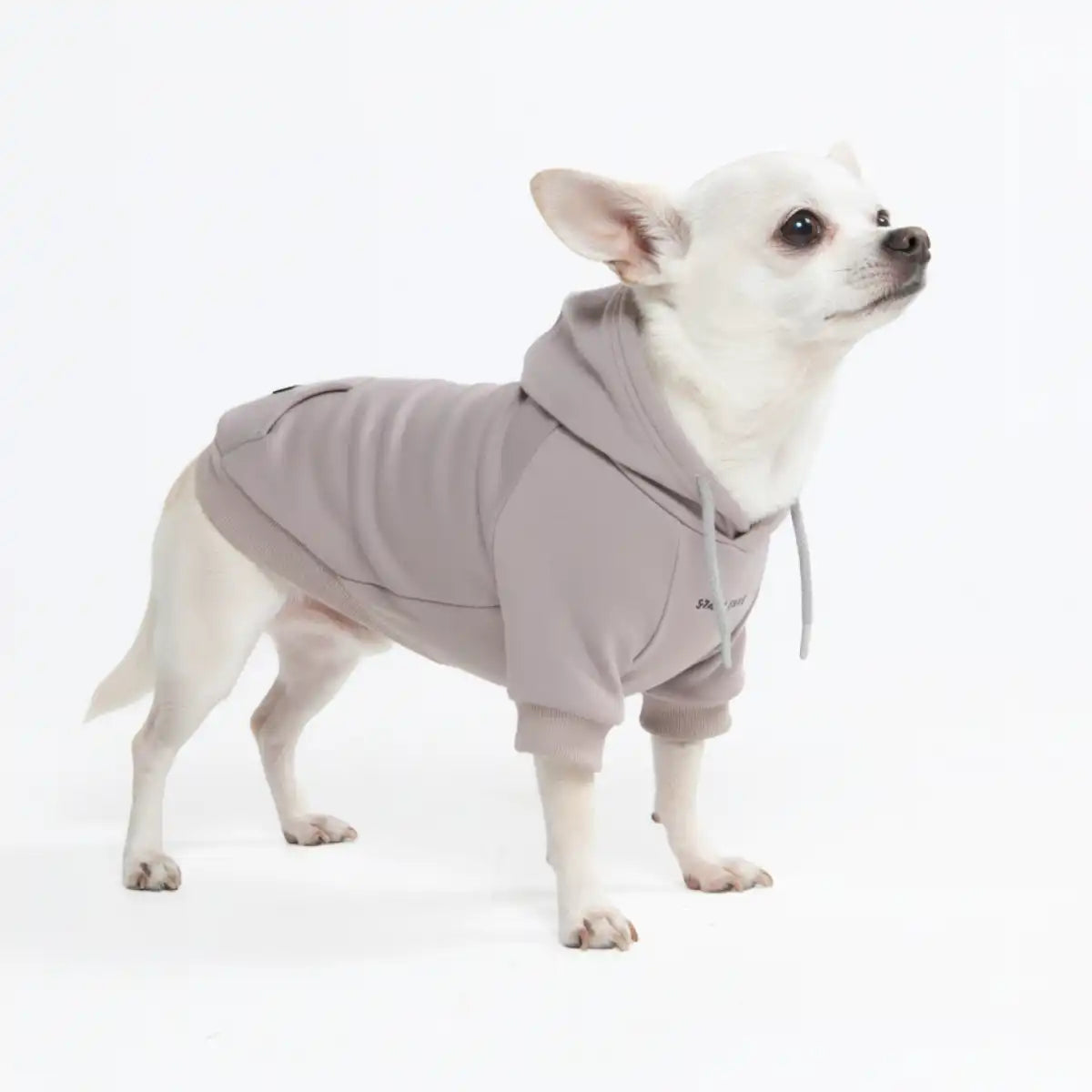 Essential Dog Hoodie - Clay