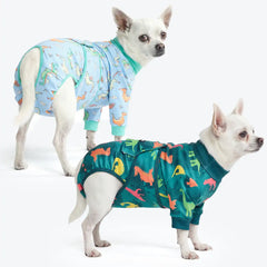 Dog Surgical Suit (2-pack) - Dinosaurs and Dragons