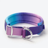 Cushioned Martingale Collar - 90s Retro