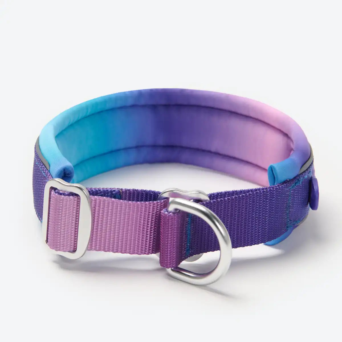 Cushioned Martingale Collar - 90s Retro