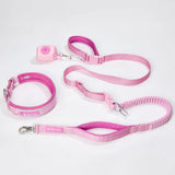 Martingale Collar and Multipurpose Leash Sets