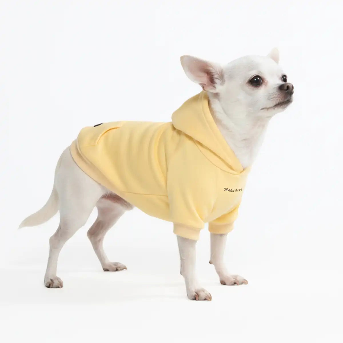 Essential Dog Hoodies