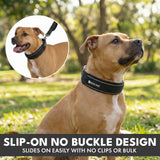 Martingale Collar Sets