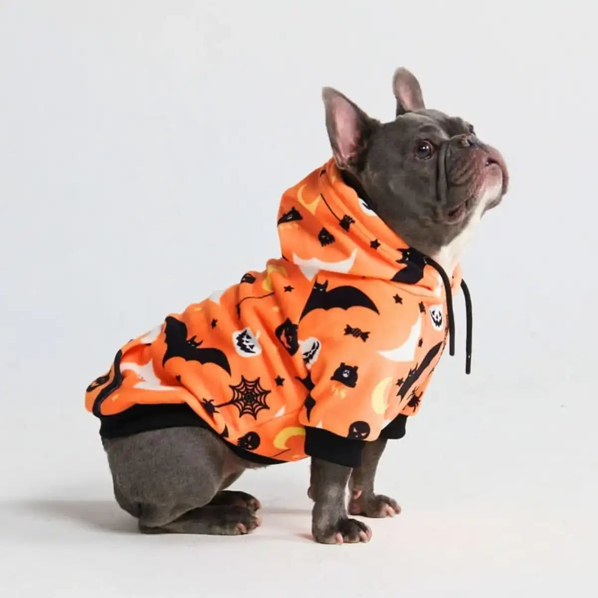 Halloween Dog Hoodie - Orange
