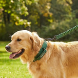 Martingale Collar and Multipurpose Leash Sets