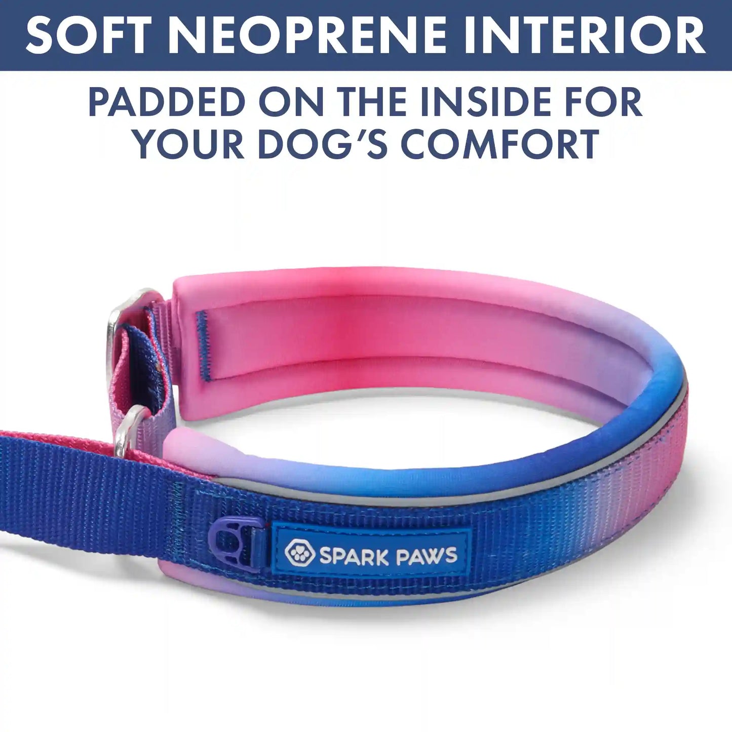 Martingale Collar Set - Snow Cone