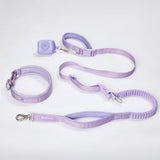 Martingale Collar and Multipurpose Leash Sets
