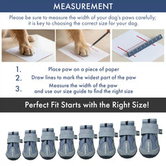 365 All-Season Dog Shoe 4PC Set - Grey