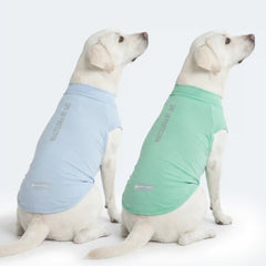 Sunblock Dog T-Shirt (2-pack) - Blue Mint