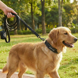 Martingale Collar and Multipurpose Leash Sets