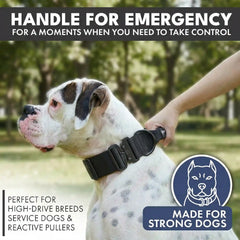 Comfort Control Collar - Black