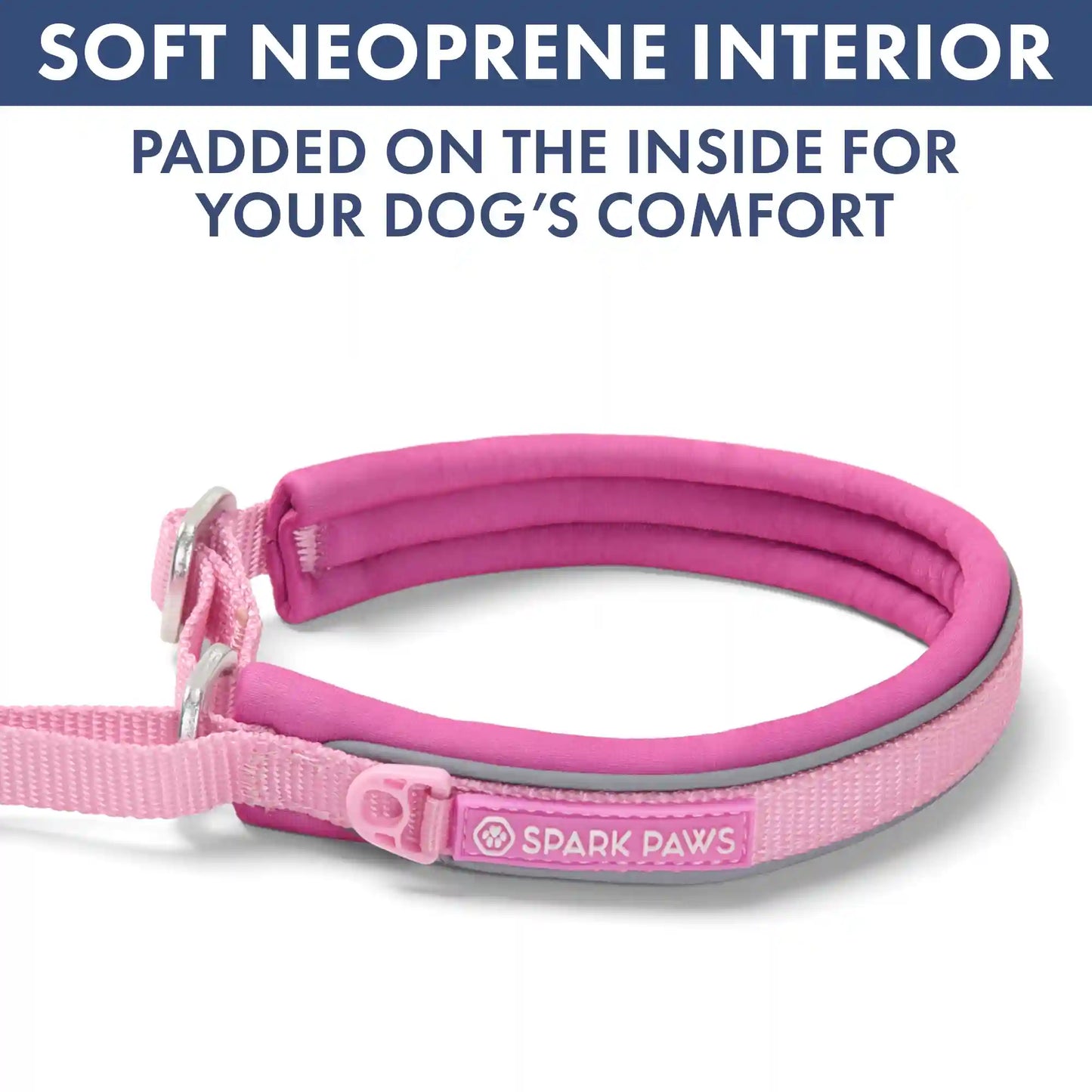 Martingale Collar Set - Pink