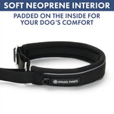 Martingale Collar and Multipurpose Leash Sets