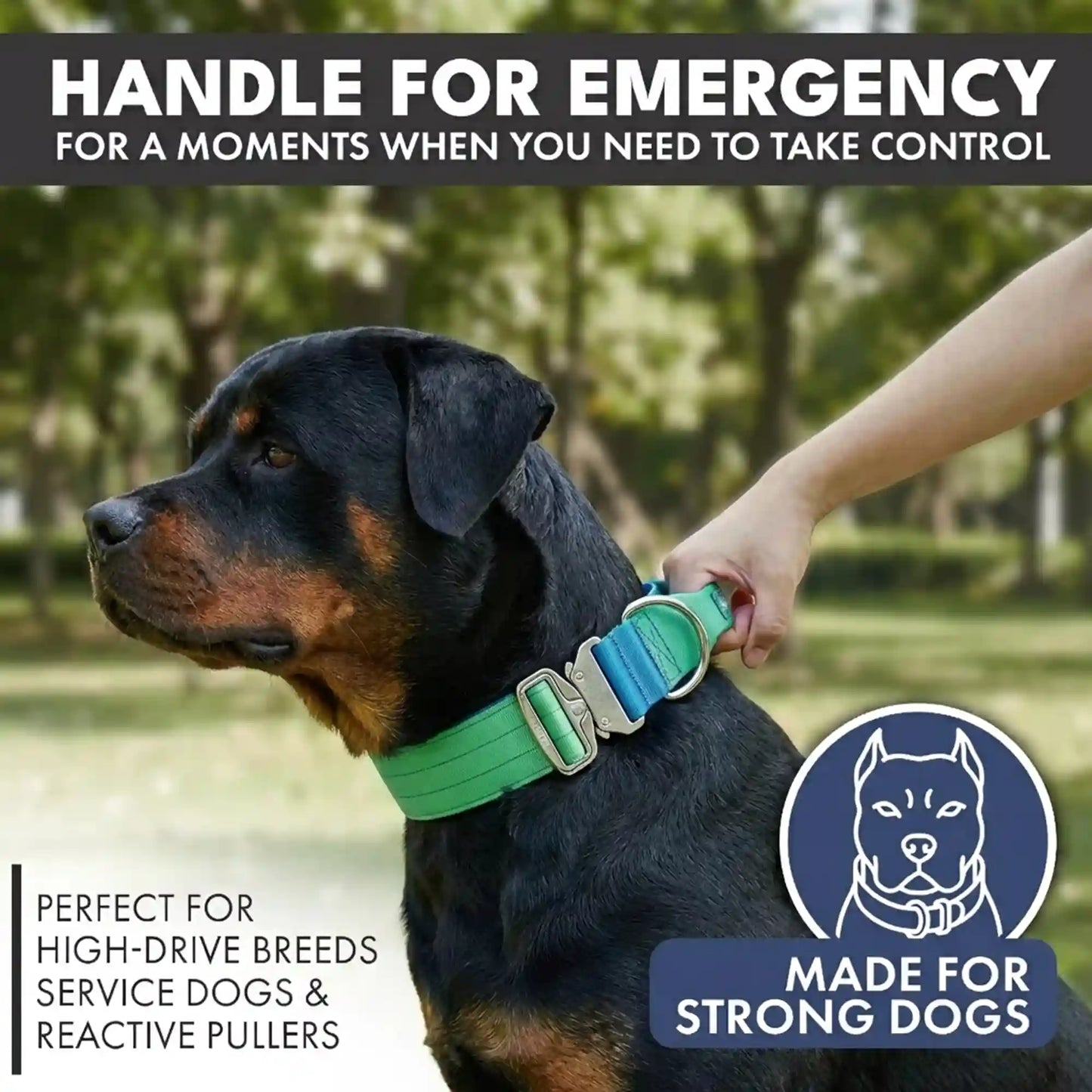 Comfort Control Collar - Lime Wave