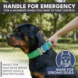 Comfort Control Collar - Lime Wave