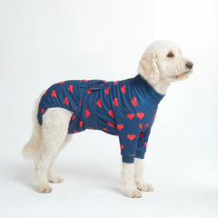 Dog Surgical Suit - Hearts