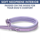 Martingale Collar Sets