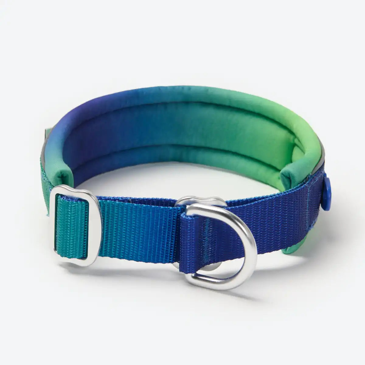 Cushioned Martingale Collar - Lime Wave