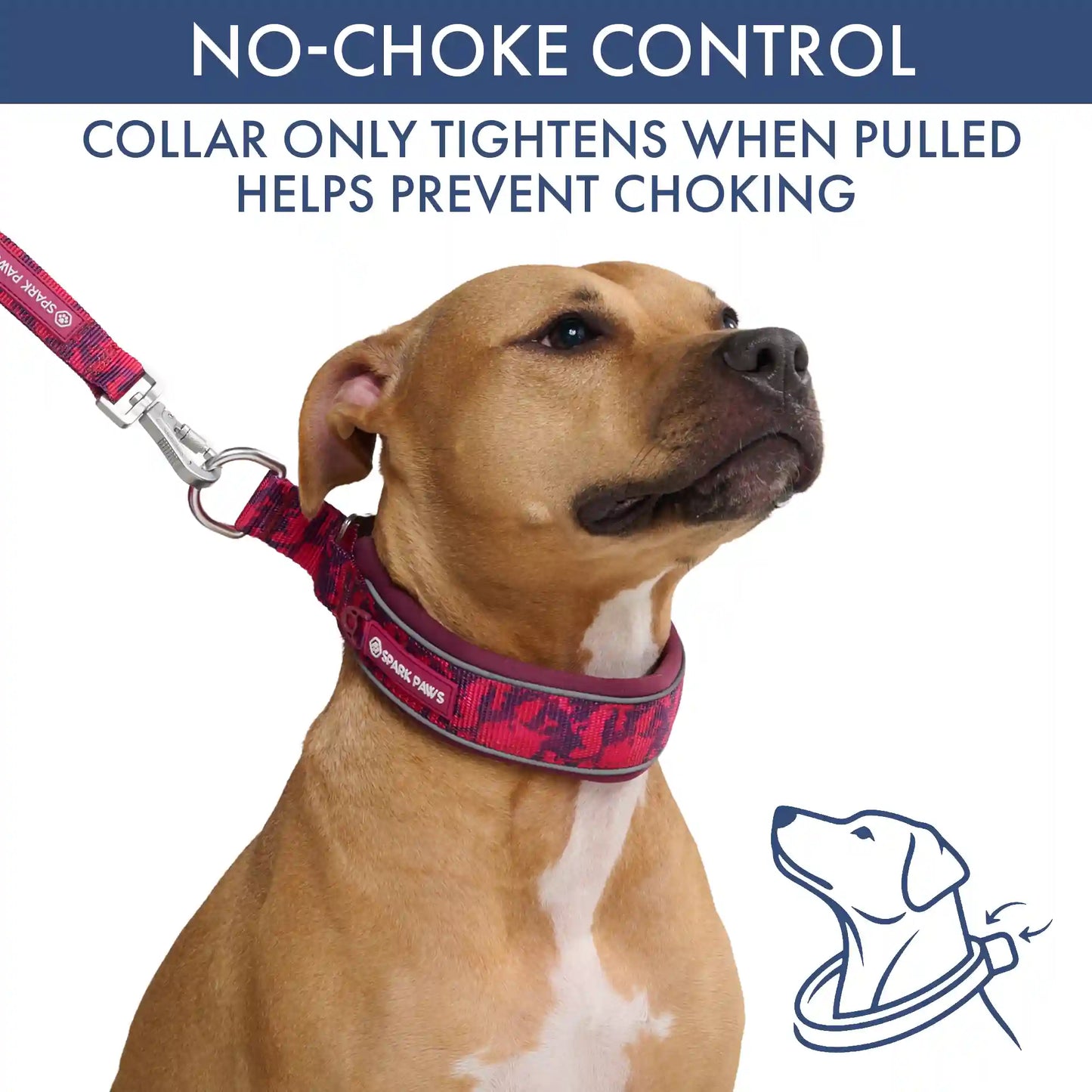 Martingale Collar Sets