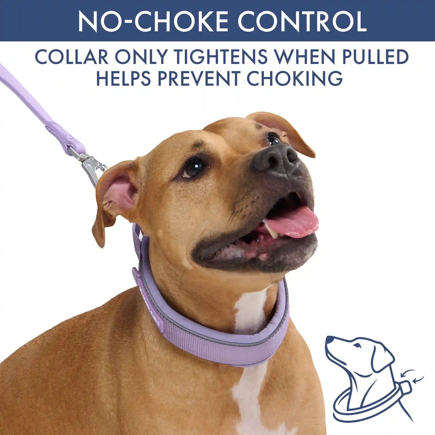 Martingale Collar Sets