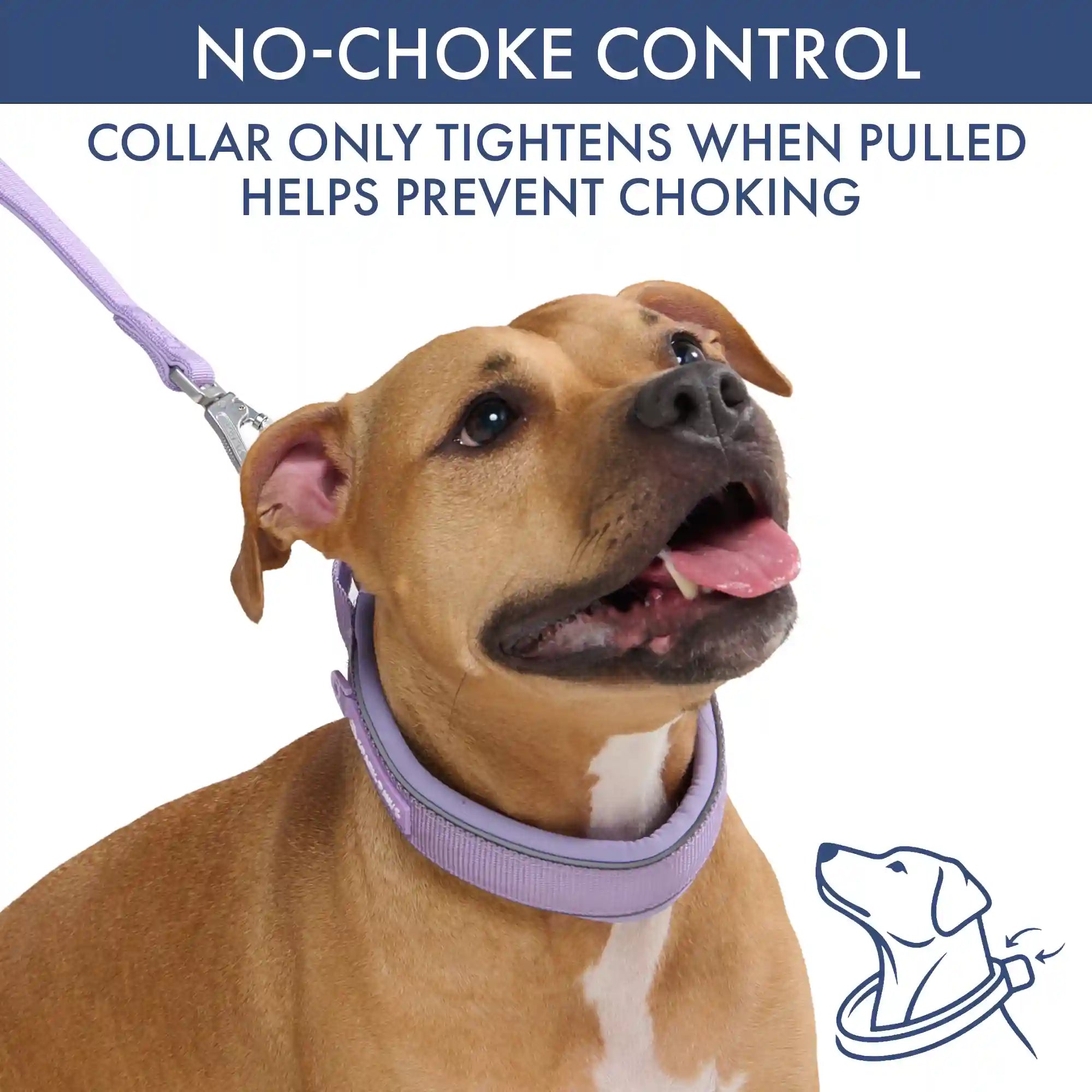 Martingale Collar Sets